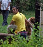 Salman Khan snapped chilling on Id day in Bandra, Mumbai on 21st Sep 2009 (3).JPG